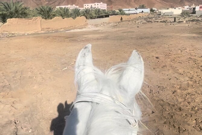 1 Hour Private Horse Riding in Madinah - Mount Uhud views are the real star of the show