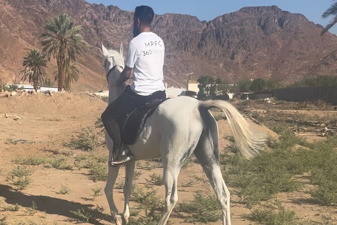 1 Hour Private Horse Riding in Madinah - Where you meet at the stables (and why location timing matters)