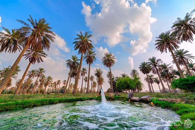 A tour in Al Ahsa the largest Oasis in the world - Key things that make this Al Ahsa tour worth your time