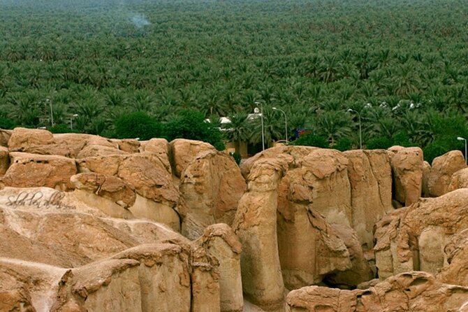 A tour in Al Ahsa the largest Oasis in the world - Ibrahim Palace (1571): starting with a fort-mosque