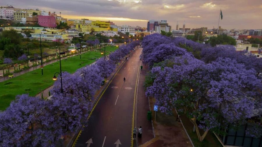 Abha City Tour & Rijal Almaa - What to pack and how to make the day smoother
