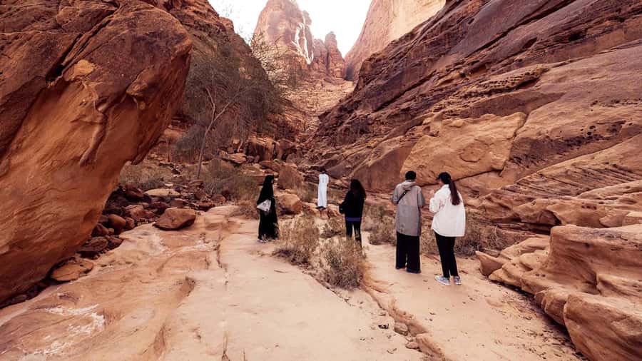 Al Ula: Dadan and Jabal Ikmah Tombs Guided Tour - Guides in Arabic and English, and how to avoid day-of surprises