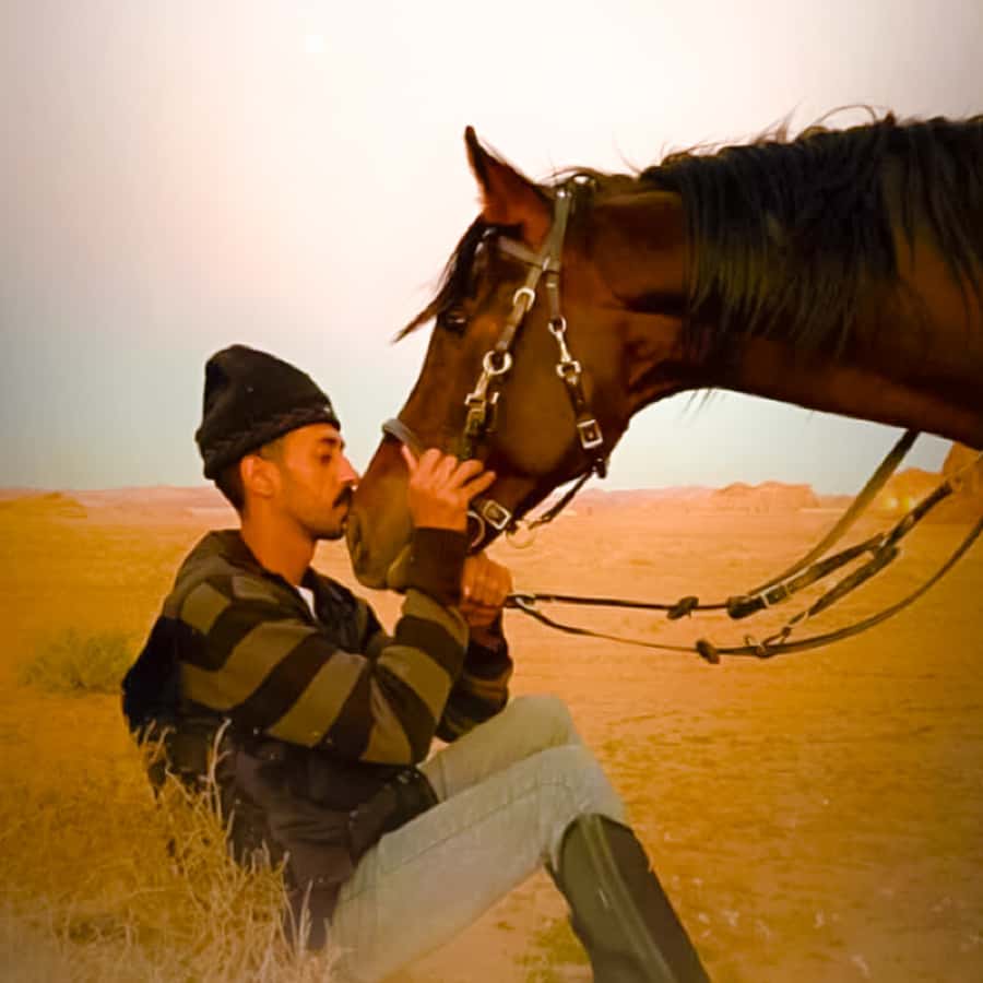 Al-Ula: Guided Horse Riding - Key things to know before you ride in Al-Ula