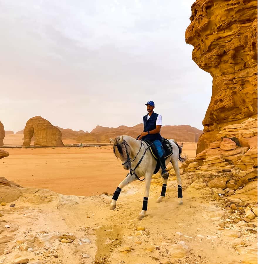 Al-Ula: Guided Horse Riding - Choosing the right route: farm calm vs Elephant Rock Trail