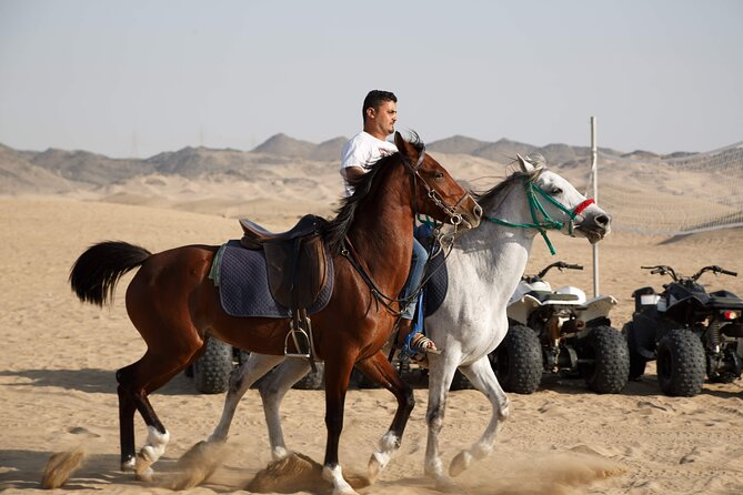 Desert Safari with Quad Bike Tours Jeddah - What’s Included: The Value of the Package Parts