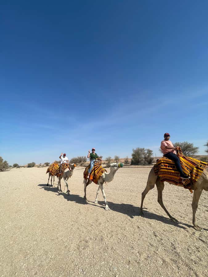 Edge of The World Riyadh,Camel Ride ,Bat Cave Visit & Dinner - Edge of the World and Bat Cave, why this Riyadh day feels different