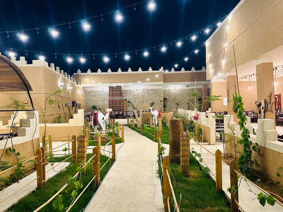 Edge of The World Riyadh,Camel Ride ,Bat Cave Visit & Dinner - Price and value at about $60 per person