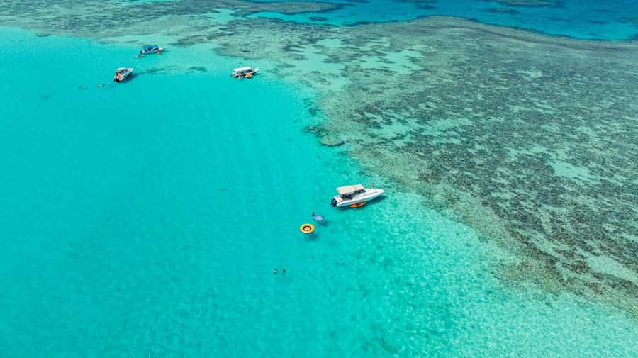 From Jeddah: Private Sea Trip to Bayadah Island - Professional snorkeling instruction: the safety and confidence you feel first