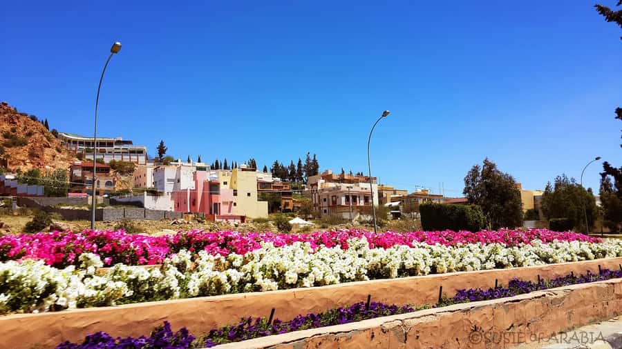From Jeddah: Taif Day Tour - Key things I’d clock before you go