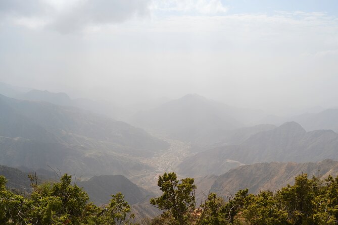 Historical & Heritage Tour in Abha- Rijal Almaa Village - Honey bazaar finale at Al Soudah: the sweet last stop
