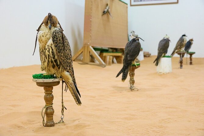 Historical Riyadh Self-Guided Audio Walking Tour - A 50-Minute Walk That Feels Like Riyadh With a Story