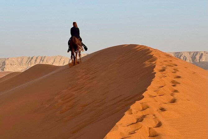 Horse Riding Experience in Riyadh | Tanomah | Jeddah | Al Ula - Riyadh, Jeddah, or Tanomah: choose the scenery, not just the ride