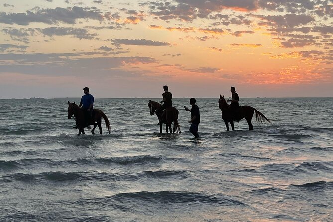 Horse Riding Experience in Riyadh | Tanomah | Jeddah | Al Ula - Tanomah horseback riding: valleys, panoramic stops, and café ghosts