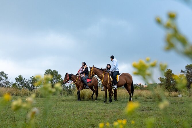 Horse Riding Experience in Riyadh | Tanomah | Jeddah | Al Ula - Price and value: is $75 for one hour actually fair?