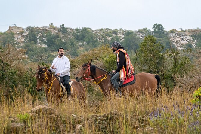 Horse Riding Experience in Riyadh | Tanomah | Jeddah | Al Ula - What happens during the 1-hour ride (and what that means for you)