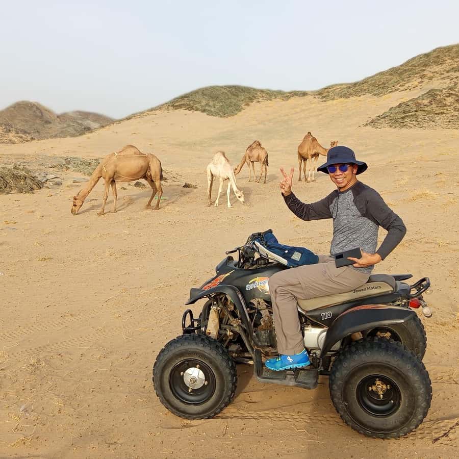 Jeddah Desert Safari: Quad Biking, Camel Farm & Sunset Views - Price and Value: Is $221 Worth It for 3 Hours?