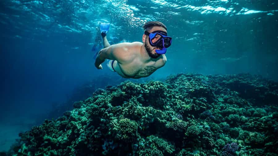 Jeddah: Guided Snorkeling Trip with Snacks and Drinks - A 5.5-hour Red Sea day from Jeddah