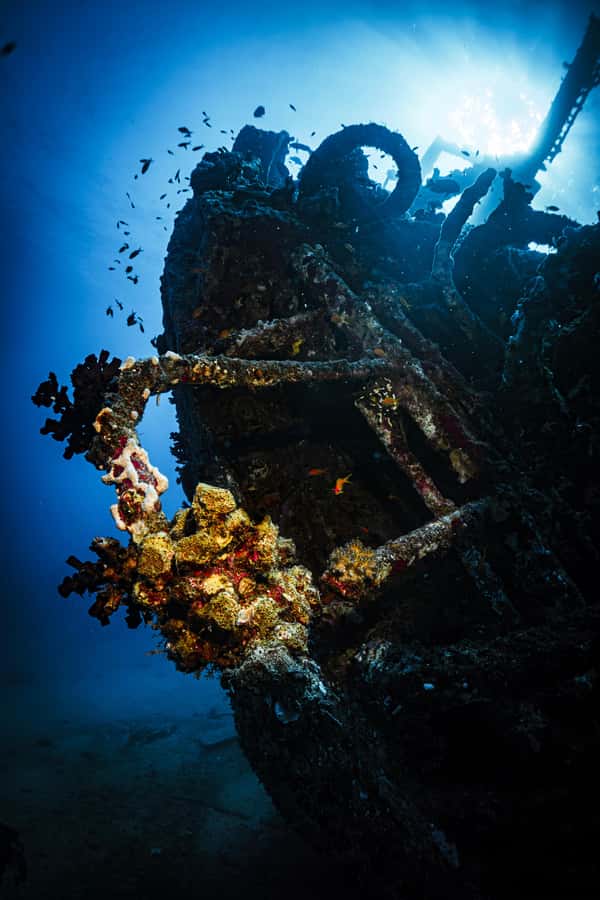 Jeddah: Guided Snorkeling Trip with Snacks and Drinks - Snorkeling safety and comfort, without making it scary