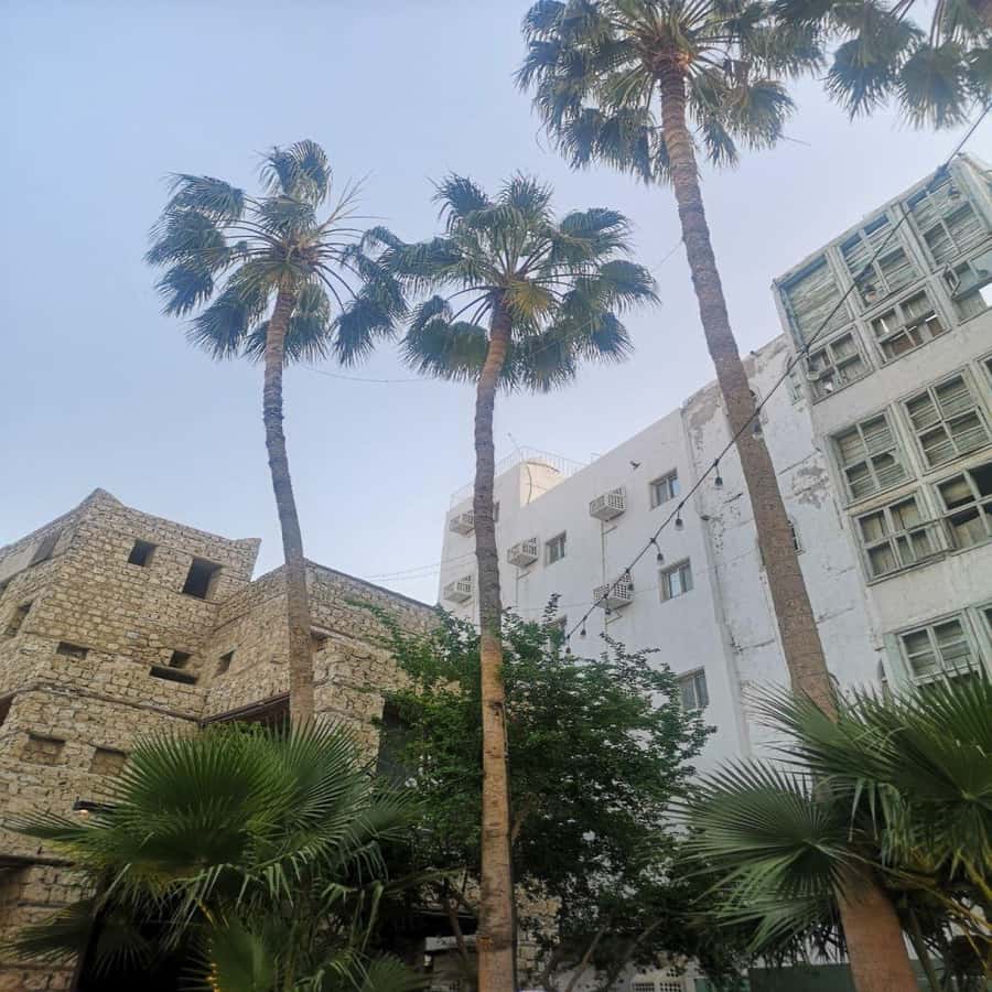 Jeddah: Historic District Tour by a Local licensed Guide - The Big Al-Balad Block: Four Old Quarters and Time to Wander