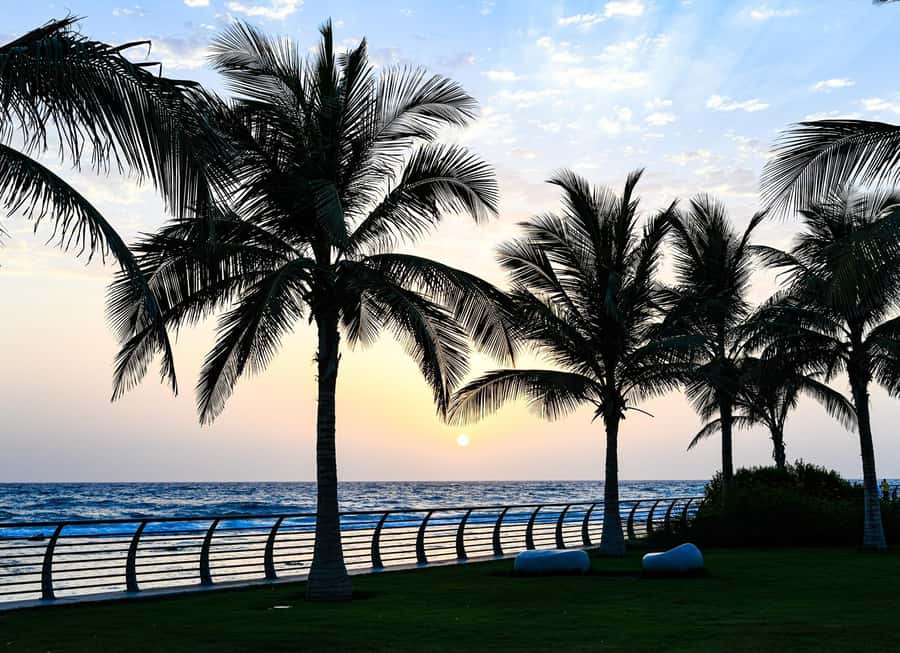 Jeddah : Jeddah’s Traditional Tour - What the Ratings Tell Me to Watch For Before You Go