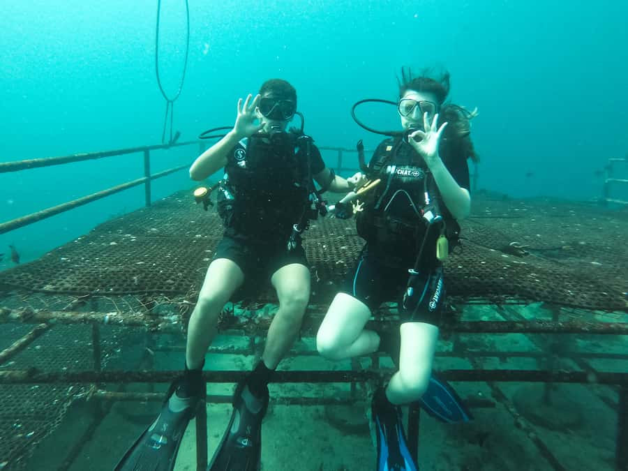 Jeddah: Red sea shore diving (Discovery) - Jeddah Red Sea, shore-based start from Bhadur Resort