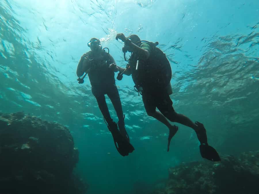 Jeddah: Red sea shore diving (Discovery) - Blue Reef timing: 45 minutes in the water and a hot-weather rhythm
