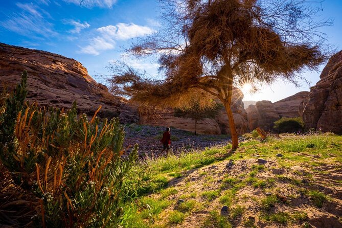 Journey Through Time Hike - Why this AlUla hike feels like more than exercise