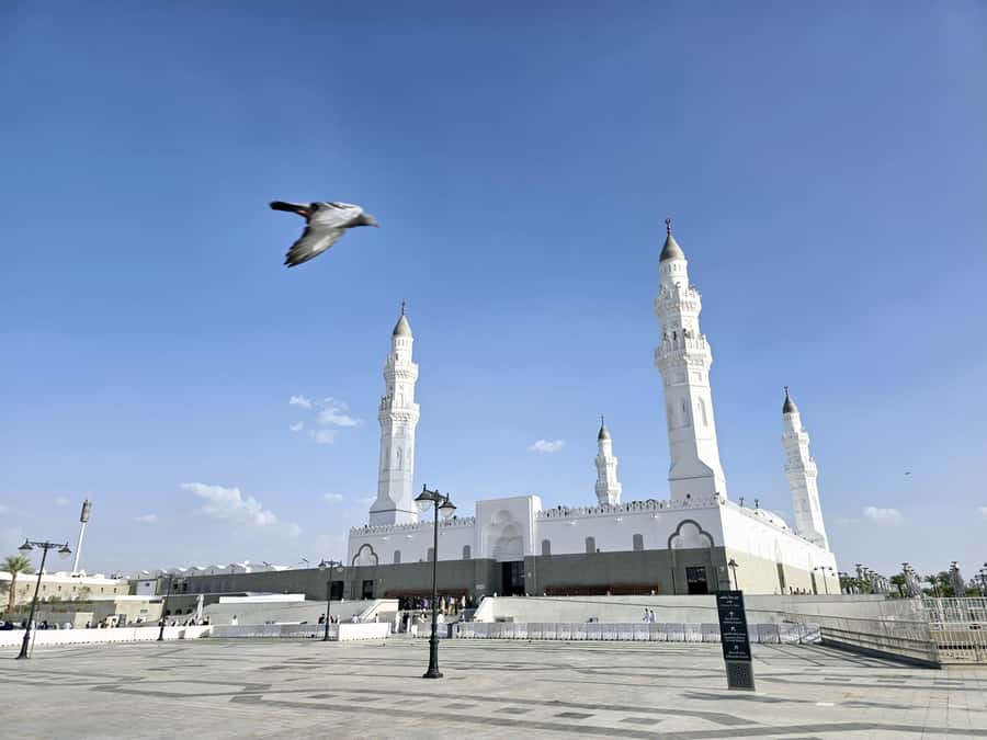 Madinah Culture & History Tour – Led by Local Guide - Wadi al-‘Aqiq Valley: a blessed valley stop that feels restful