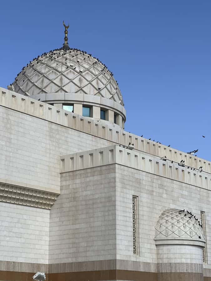 Madinah Culture & History Tour – Led by Local Guide - Al-Mirbad Farm or Reef Al Bustan Farm: tea, sweets, and local Medina rhythm
