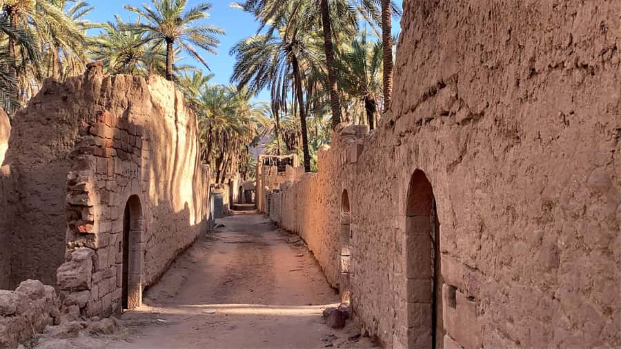 Oasis Adventure in Alula - Should You Book Oasis Adventure in AlUla?