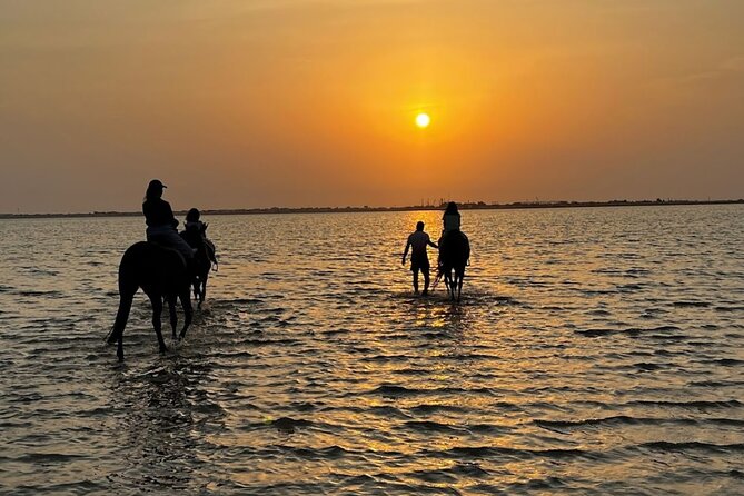 Private Horse Riding Experience at Red Sea - Key Things I’d Circle Before You Go