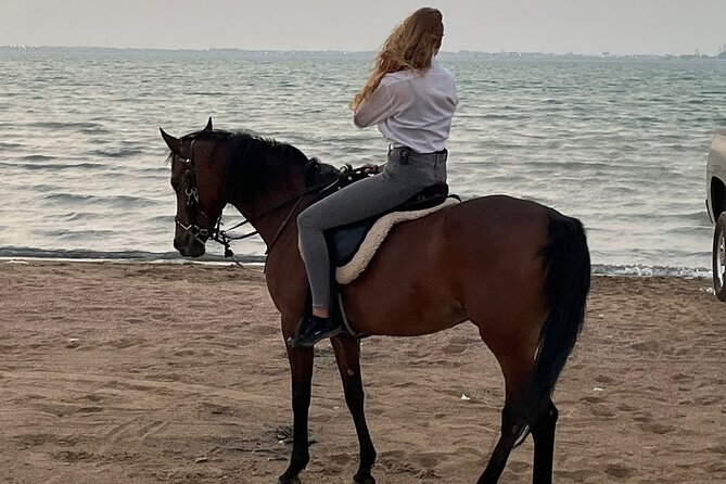 Private Horse Riding Experience at Red Sea - Riding With Locals: What “Calm and Beautiful” Means on a Real Horse