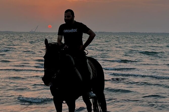 Private Horse Riding Experience at Red Sea - Timing, Weather, and the Best Way to Plan Your Evening