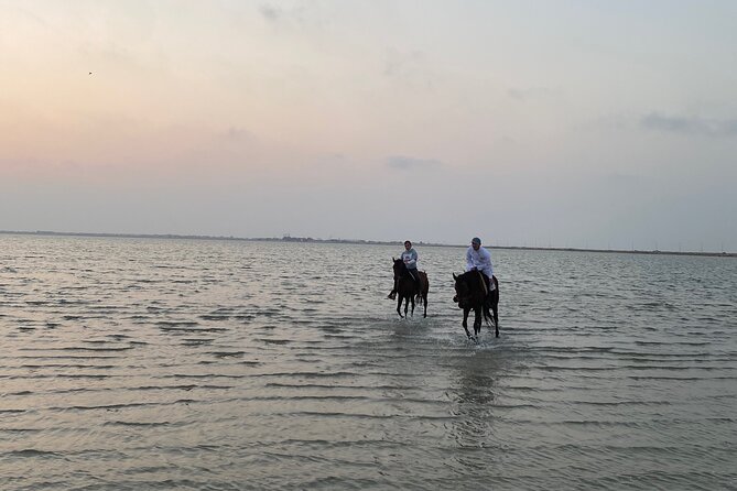 Private Horse Riding Experience at Red Sea - Who This Horse Ride Suits Best (And Who Might Think Twice)