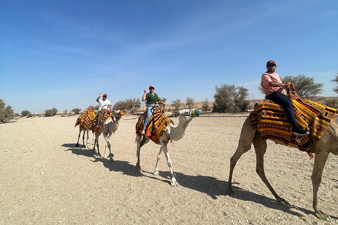 Riyadh City Tour with Camel Riding - Key highlights you should know before you go