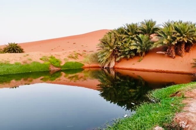Riyadh City Tour with Camel Riding - A full 8.5 hours out of Riyadh, and why that works