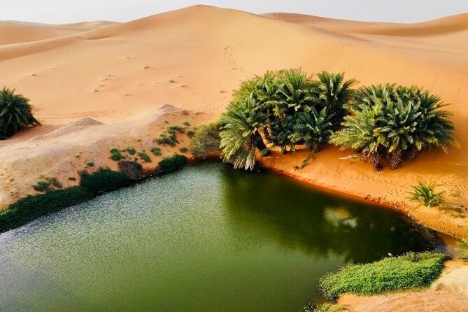 Riyadh City Tour with Camel Riding - The Secret Lake (Oasis Lake): why the sunset moment matters