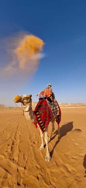Riyadh: Desert Sand Dunes (VIT-Qude bike + Camel Ride) - Heritage Village: Arabic Coffee, Tea, and the Stories Between Stops