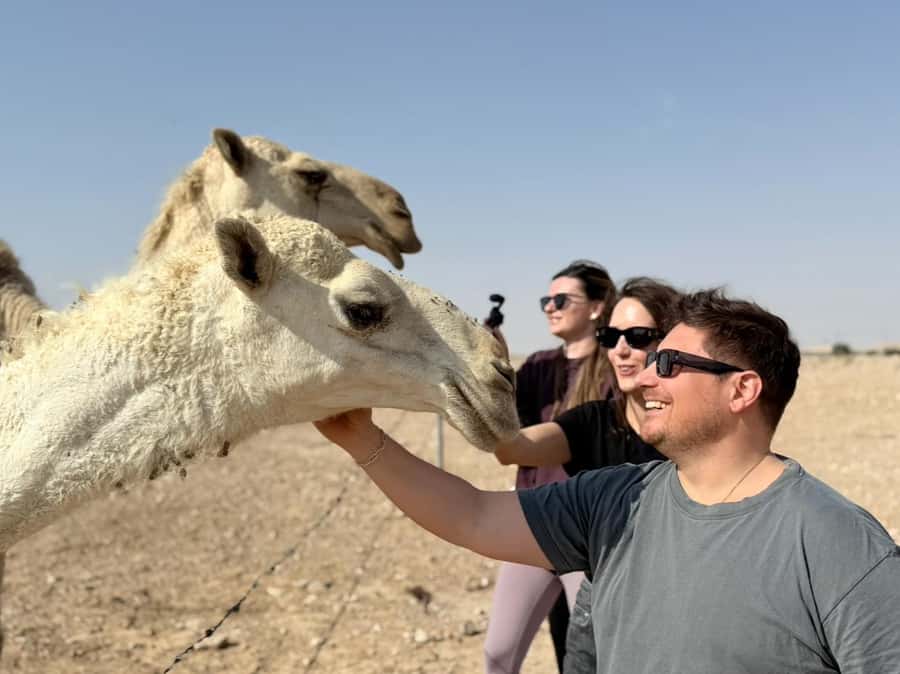 Riyadh: Edge Of The World, camels &Stargazing with 4x4 - Snacks, timing, and how the day avoids feeling like chaos