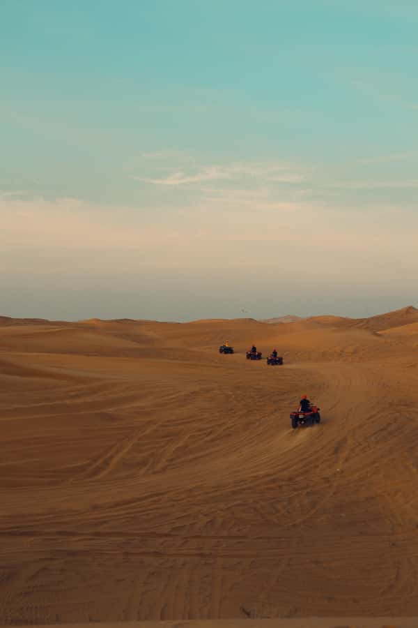 Riyadh: Sand Dunes Desert Safari, Quad Bike, Camel Ride - Key highlights you will feel right away
