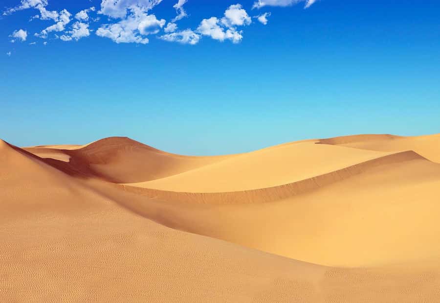 Riyadh: Sand Dunes Desert Safari, Quad Bike, Camel Ride - Quad bikes over red dunes: how the 30-minute ride feels