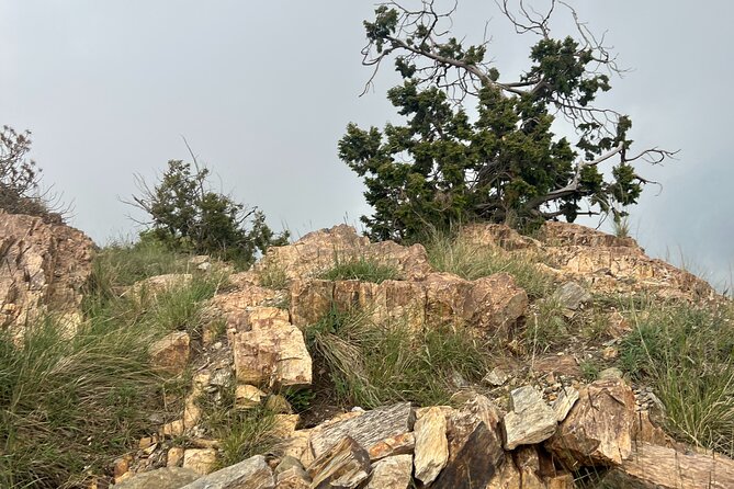 Sawda Mountains Hiking Trail - The Guide Factor: Osama’s Local Stories