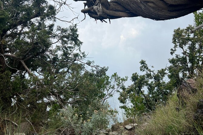 Sawda Mountains Hiking Trail - The Monkey Moment: A Practical Safety Note