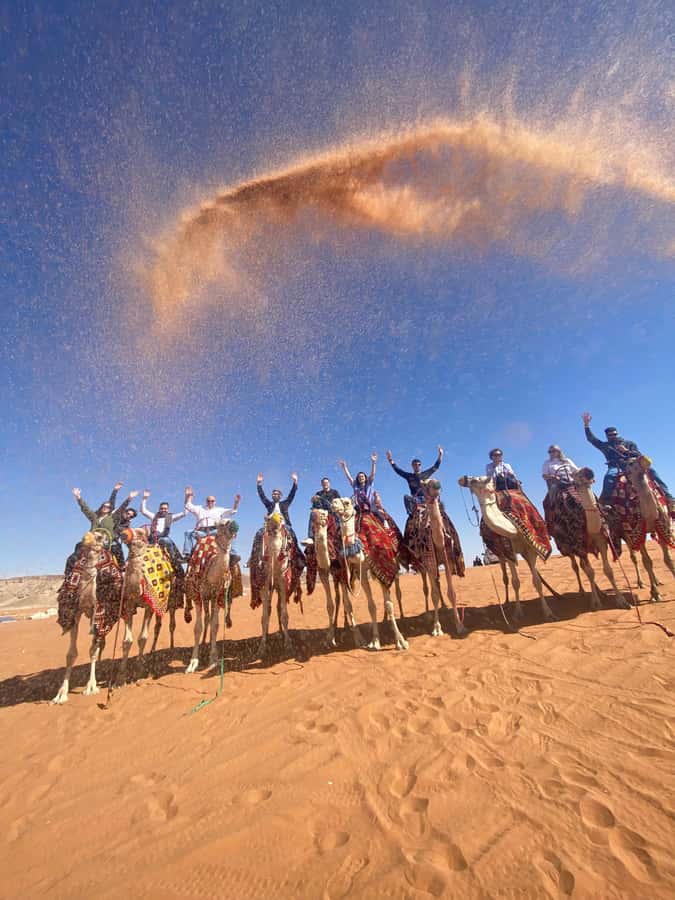 VIP Red Dunes: Camel, Quads, Private Tour & Coffee - Pickup, vehicle comfort, and how to avoid day-of stress