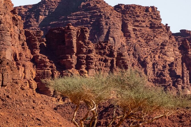 Wadi Disah Adventure from Tabuk | Al Ula - The Keshta break: coffee, tea, dates, and that calm desert pause