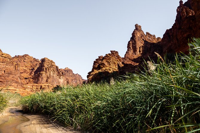 Wadi Disah Adventure from Tabuk | Al Ula - Wadi Al Disah exploration: springs, valleys, and rock formations